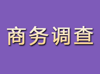 咸安商务调查